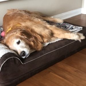 Meet your Posher, Zbigniew